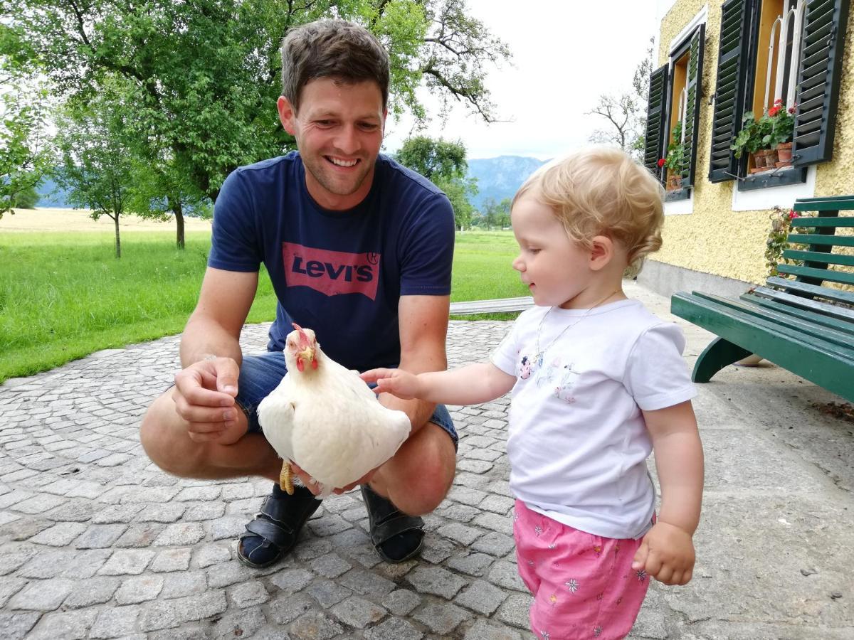 Weslhof Villa Attersee Dış mekan fotoğraf