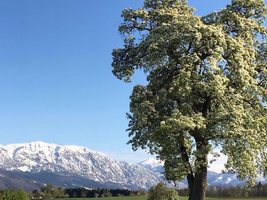 Weslhof Villa Attersee Dış mekan fotoğraf